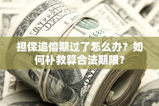 北京担保追偿期过了怎么办？如何补救算合法期限？