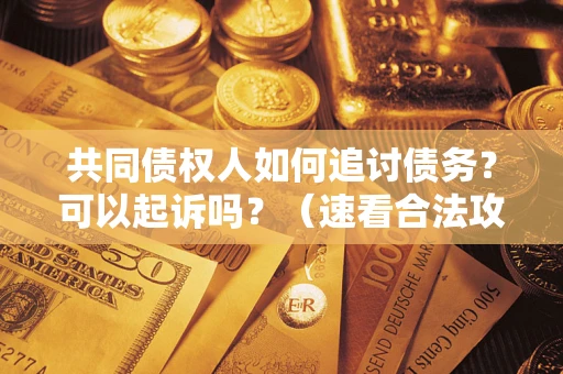 北京共同债权人如何追讨债务？可以起诉吗？（速看合法攻略）