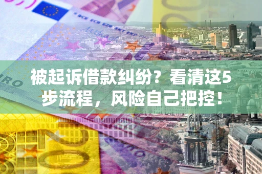 北京被起诉借款纠纷？看清这5步流程，风险自己把控！