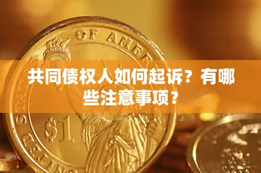 北京共同债权人如何起诉？有哪些注意事项？